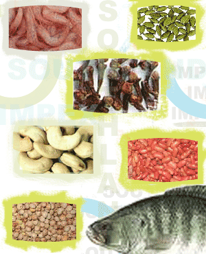 india exporters of food products
