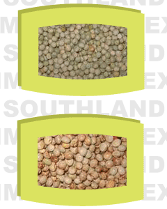 pulses exporters india