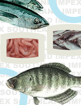 india seafood exporter india