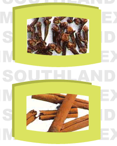 spices exporters india 