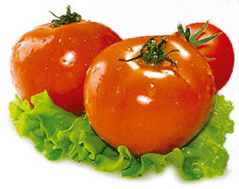 tomato paste exporters india